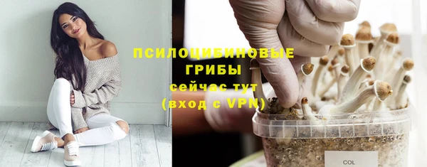 мяу мяу мука Алзамай