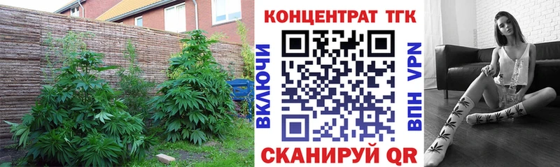 ТГК вейп с тгк  наркошоп  Ленинск-Кузнецкий 