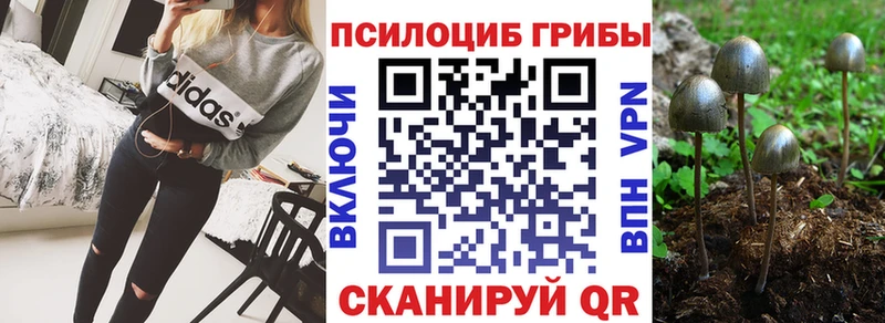 наркошоп  Ленинск-Кузнецкий  Псилоцибиновые грибы Psilocybine cubensis 