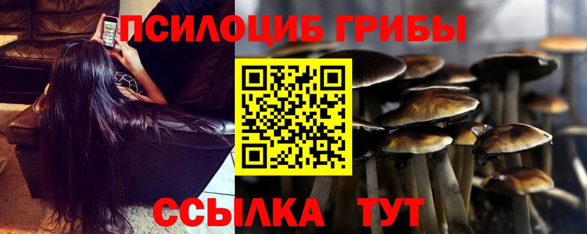 Псилоцибиновые грибы мухоморы  Вход с VPN  Ленинск-Кузнецкий 