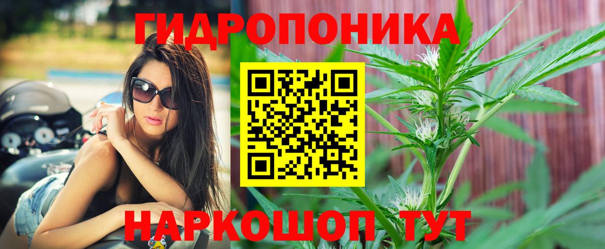 Марихуана Bruce Banner  Вход с VPN  Ленинск-Кузнецкий  МАРИХУАНА LSD WEED  Марихуана MAZAR  Бошки Шишки Ganja 
